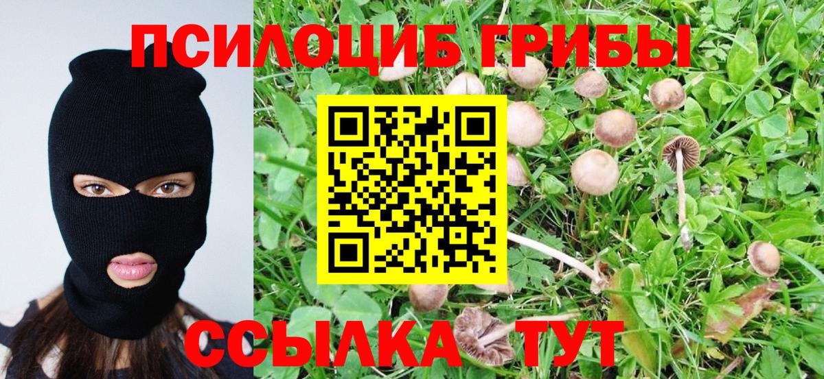 Псилоцибиновые грибы ЛСД  Вход с VPN  Псилоцибиновые грибы Cubensis  Губаха 