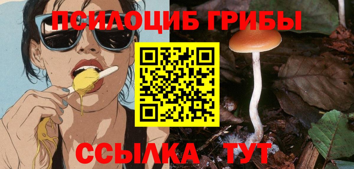 Галлюциногенные грибы Губаха